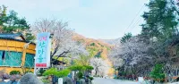 Hamyang Mountain Village Pension (Jirisan)