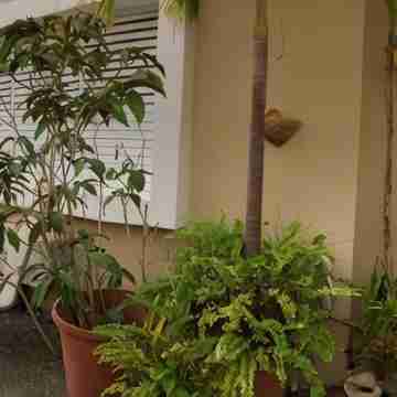 Affordable & Beautiful Dream Condo with a private pool near  Seven Seas Beach Hotel Exterior