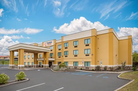 Comfort Suites Lewisburg Отели в г. Уотсонтаун
