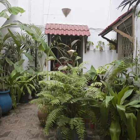 Malindi Guest House