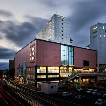 Daiwa Roynet Hotel Ibaraki Mito