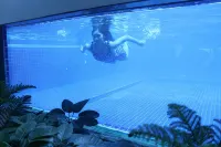 Hotel Fortuna Grande Seturan Yogyakarta - piscina
