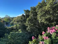 Wake up with Birds in Monteverde - Forest Balcony & Walk to Reserves