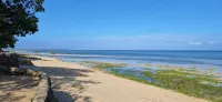 Mandala Beach Cebu by Hiverooms - Beach