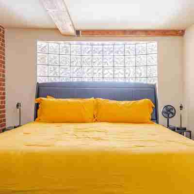 Cozy 1BR Apt in Downtown Richmond, Nearby Attractions within walking distance Rooms