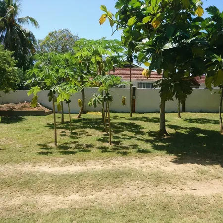 HCS Bungalows, Turtle Bay Rustic Bungalow with garden, Flat #1