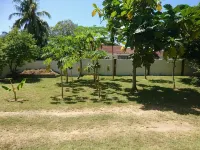 HCS Bungalows, Turtle Bay Rustic Bungalow with garden, Flat #1 - Wi-Fi