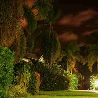 Cocos Beach Bungalows Hotel Exterior