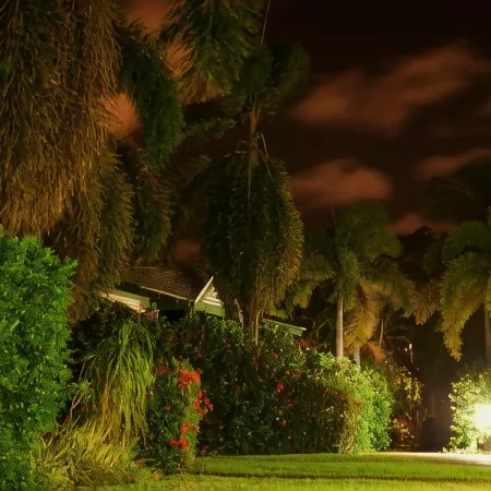 Cocos Beach Bungalows