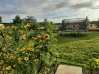 Chalet in the orchard and play garden - Homestays