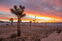 Discoasis Joshua Tree - 2.5 Acres w/ Bar & Hot Tub - 4-Star
