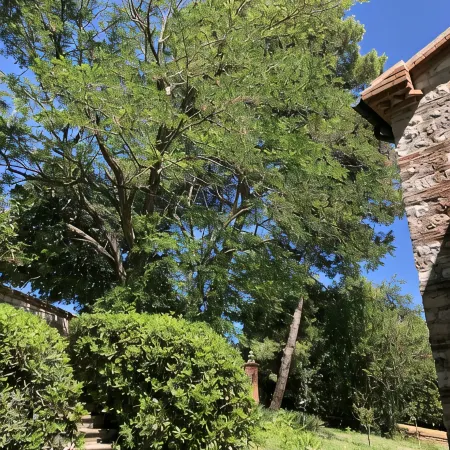 Cottage in the green, a stone's throw from the sea