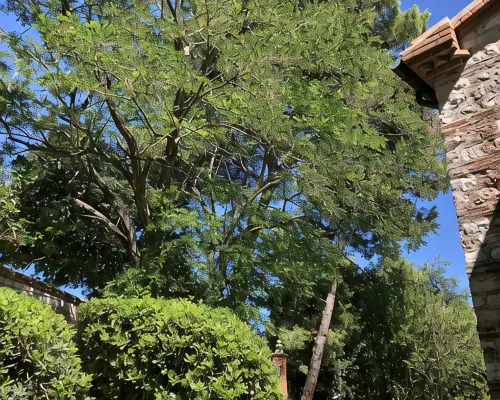 Cottage in the green, a stone's throw from the sea Hotel a Numana