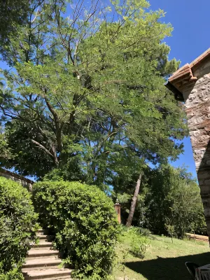 Cottage in the green, a stone's throw from the sea