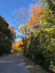 Harbor Springs Cottage In The Woods - 4 estrellas