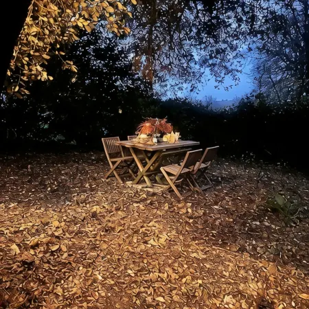 Narnia: Magical Woodland, Outdoor Hot Bath & Dog-Friendly