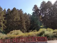The Garden Suite has beautiful views of forests and pastures! It is dog friendly Hotels in Ferndale