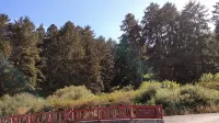 The Garden Suite has beautiful views of forests and pastures! It is dog friendly