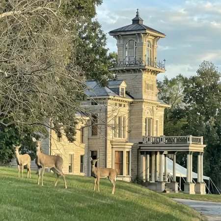 Renwick Mansion Guest House