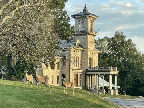 Renwick Mansion Guest House - Homestays