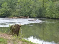 Little Tennessee River Cabin - in the Smoky Mountains Hotels in Cowee