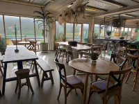Sow and Piglets Guesthouse - Hostels