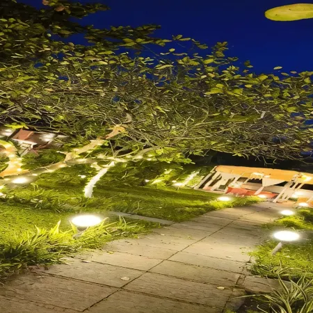 Arambol Lake Resort