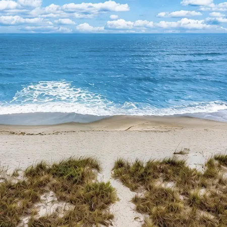 On the Beach, Oceanfront, Dog Friendly Condo with Panoramic Views of the Gulf!