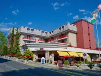 Alpine Classic Hotel Hotels in Leysin