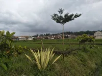 Giri Home & Travel