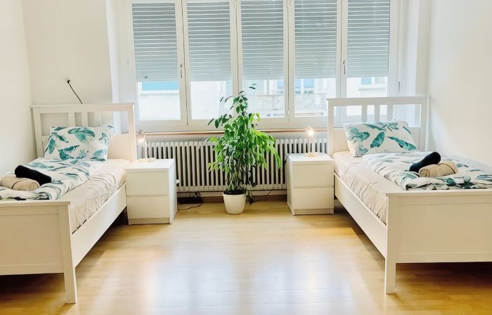 Vantage Point spacious 3 bedroom apartment | Olten Switzerland| railway station