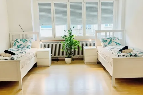 Vantage Point spacious 3 bedroom apartment | Olten Switzerland| railway station - Homestays