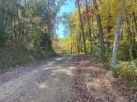 Spacious 5-king bedroom cabin with private bathrooms minutes from Asheville.