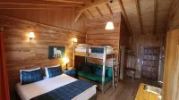 Lycia Nature House - Ramah Hewan Peliharaan