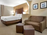 Comfort Inn - Gym