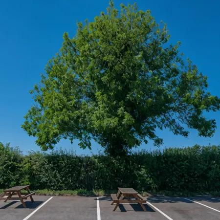 Holiday Inn LEICESTER - WIGSTON by IHG
