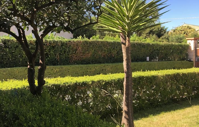 Dependance in Villa 7 km from Cefalù near the sea with garden and services.