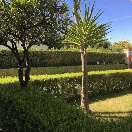 Dependance in Villa 7 km from Cefalù near the sea with garden and services.