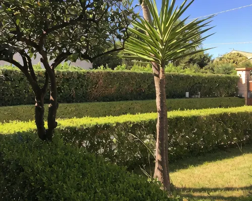 Dependance in Villa 7 km from Cefalù near the sea with garden and services. Hotels in Lascari