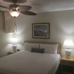 Special! Whale Watching from Your Oceanfront Private Lanai! No Resort Fees! - 4-Star