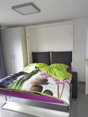 Modern bright apartment on Lake Constance Meersburg lake and mountain view vacation, dog - Wifi