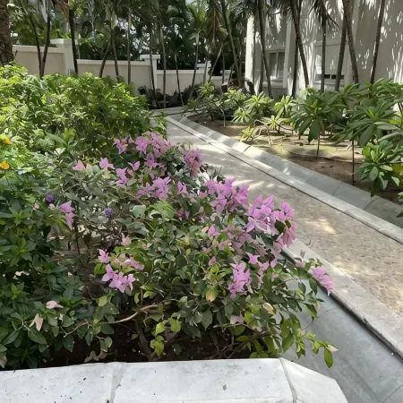 Cupecoy ocean view 2BR condo - pools/private beach