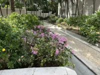 Cupecoy ocean view 2BR condo - pools/private beach