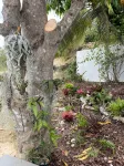 Minutes from Magens Bay, gated property, large pool & outdoor entertainment area - 2-Star