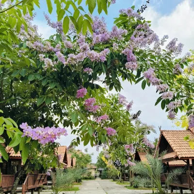 Zaleena Grand Hotel Các khách sạn gần Trường Udonpittayanukoon
