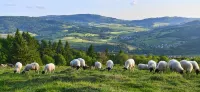New barrier-free vacation apartment in the Rhön - 民泊