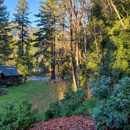 Log Cabin Inn - Cabin 12 on the Mckenzie River - minutes from Tokatee and Loloma