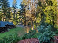 Log Cabin Inn - Cabin 12 on the Mckenzie River - minutes from Tokatee and Loloma - Chalets