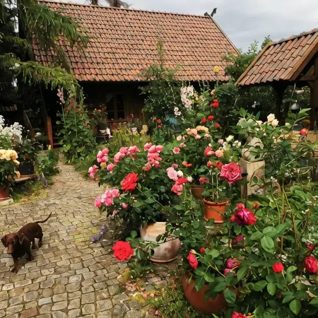 Lower Saxony warehouse with a cozy country house atmosphere for up to 6 people