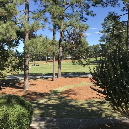 Pinehurst Perfection